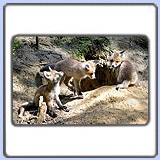 ������. ���� 900x630. ��������?