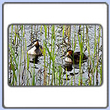 �����. ���� 900x630. ��������?