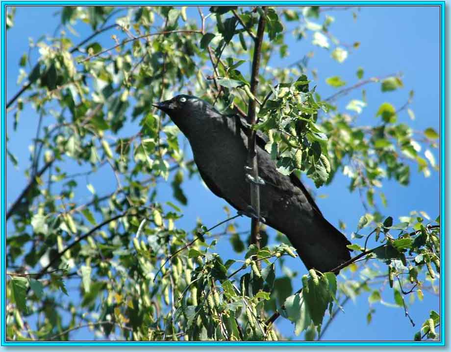 ����. ���� 920�720 (68kb)